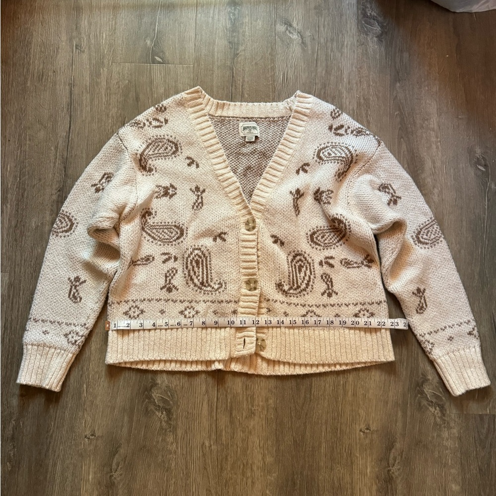 American Eagle Cardigan
